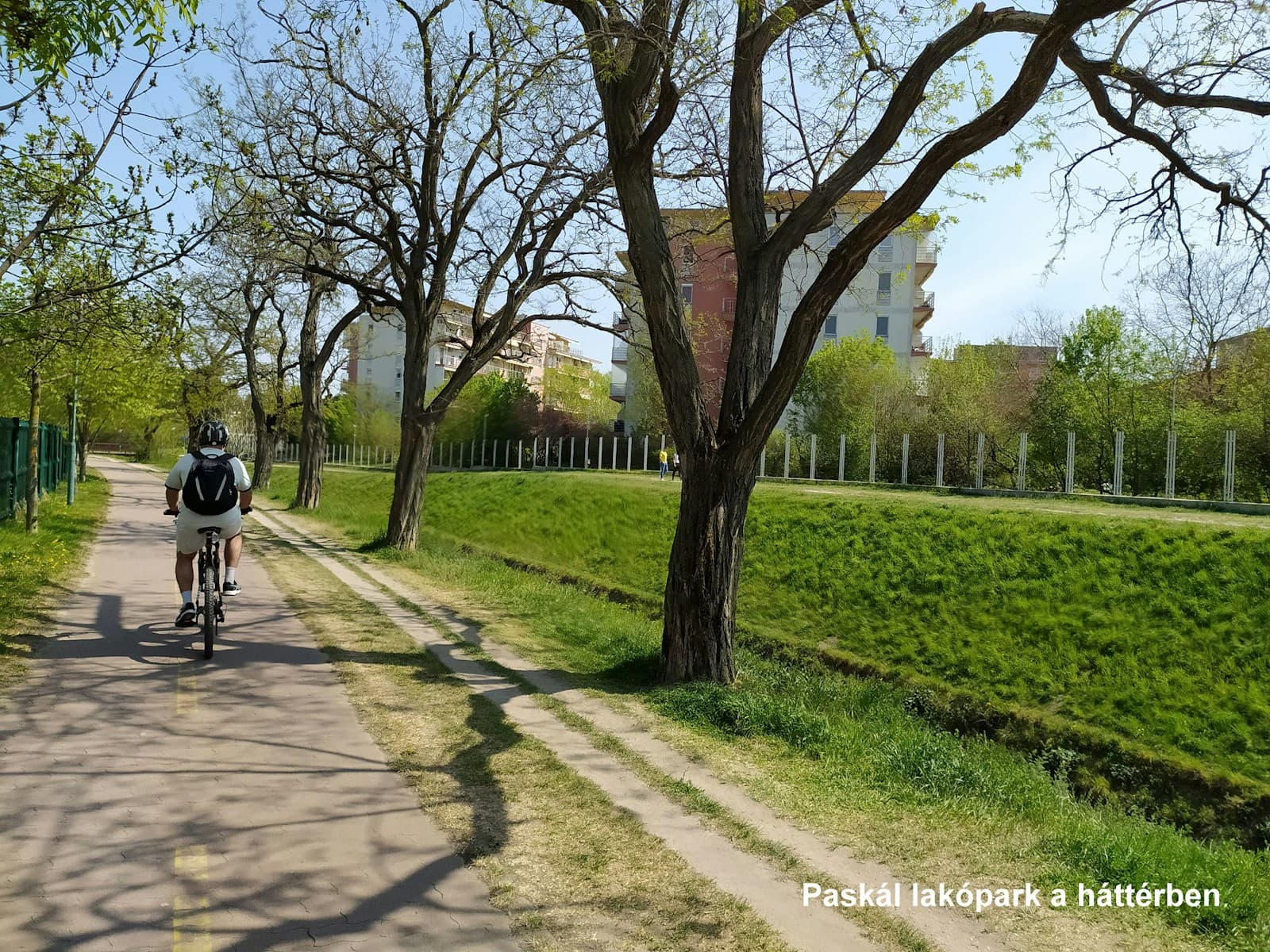 Szuglo shared space 14