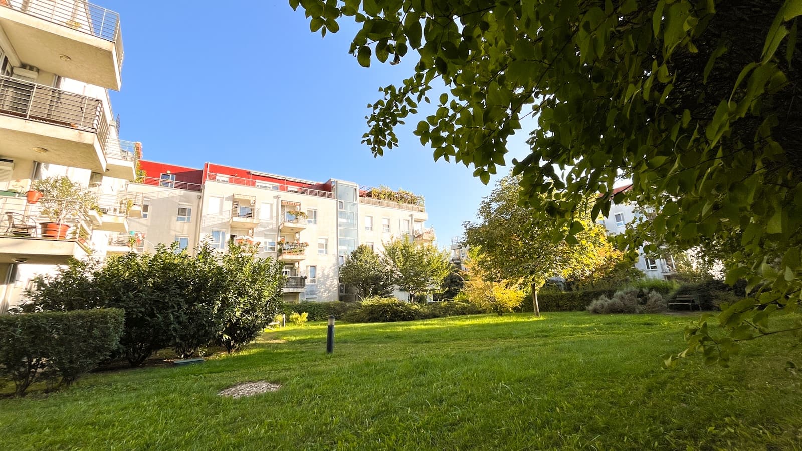 Szuglo shared space 17